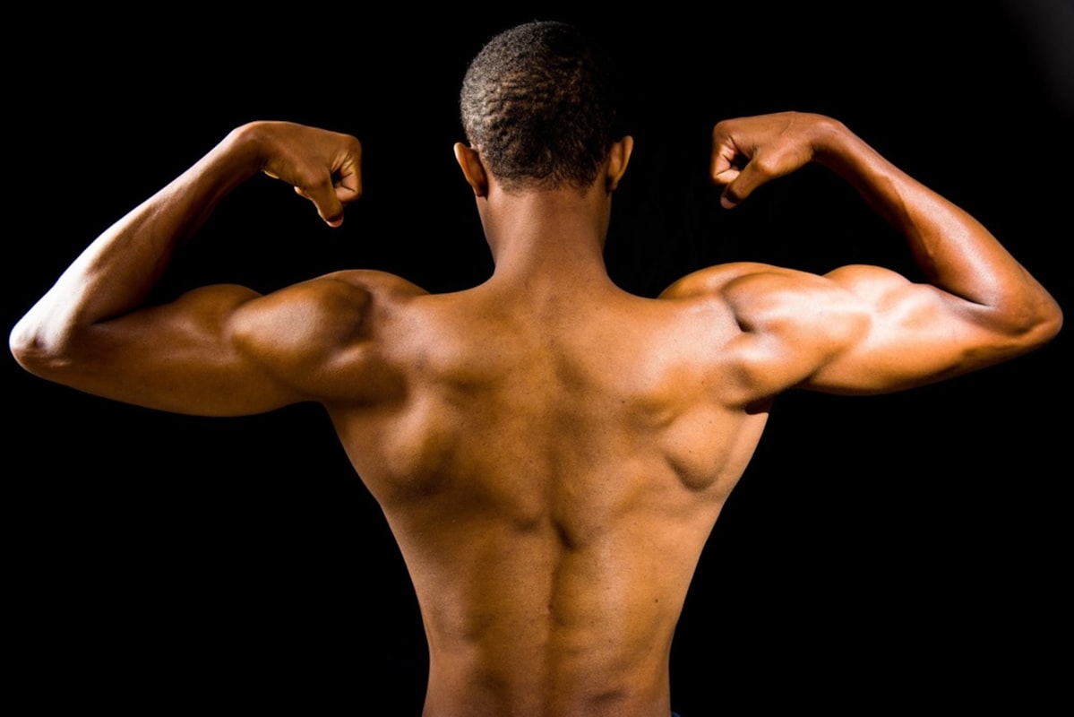 High-Protein Muscle-Building Recipes
